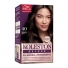 KOLESTON DELUXE CASTANHO MEDIO 4.0